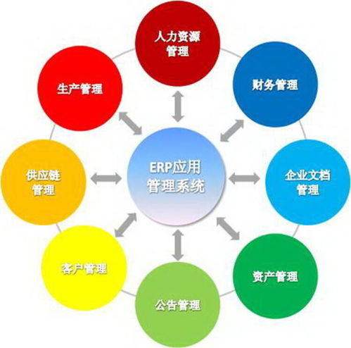 上海企業(yè)軟件開發(fā) 機遇、挑戰(zhàn)與發(fā)展趨勢